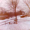 February 6, 2001 (22).jpg (50768 bytes)