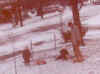February 6, 2001 (23).jpg (14307 bytes)